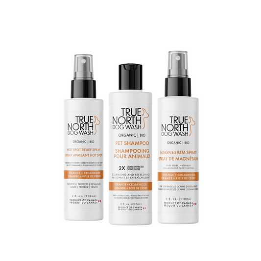 The Orange & Cedarwood Collection