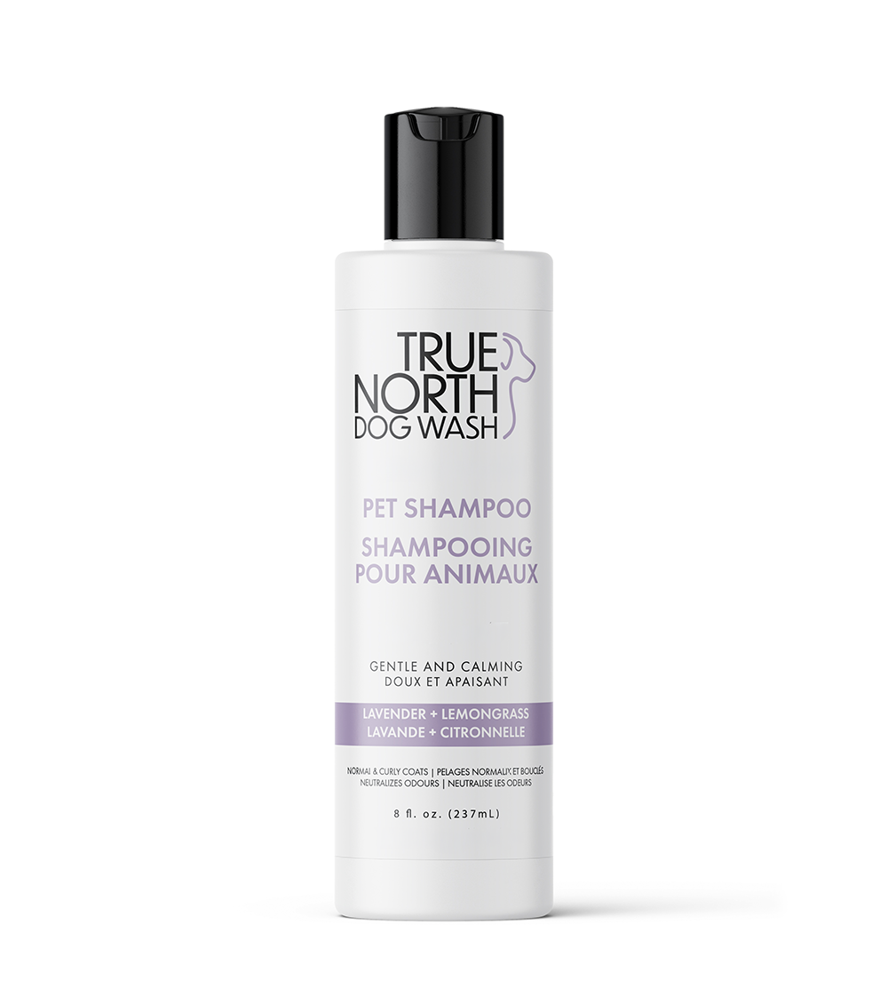 Lavender & Lemongrass Premium Shampoo