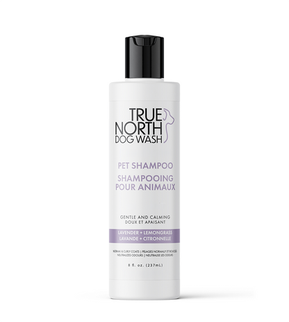 Lavender & Lemongrass Premium Shampoo