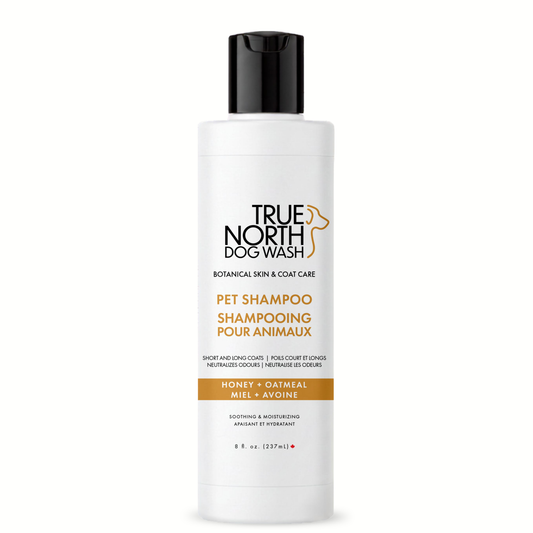 Honey & Oatmeal Ultra- Premium Shampoo — new-label front view