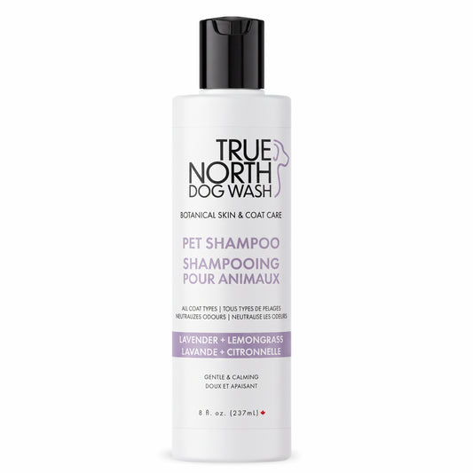 Lavender & Lemongrass Premium Shampoo — new-label front view
